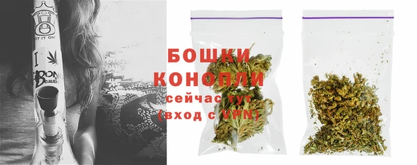 прущие грибы Богородицк