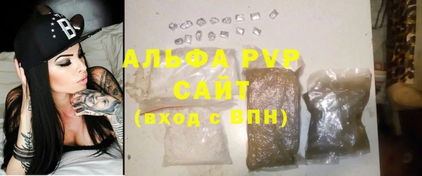 метадон Богданович