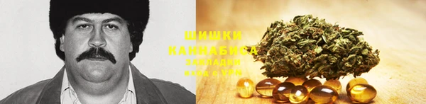 метадон Богданович