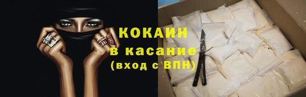 прущие грибы Богородицк