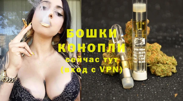 прущие грибы Богородицк