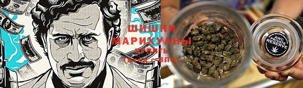 метадон Богданович