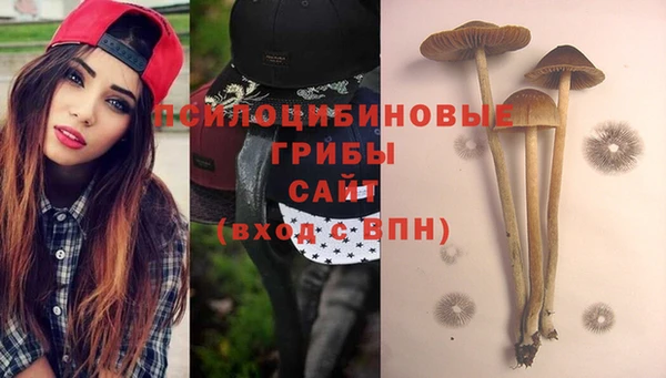 метадон Богданович