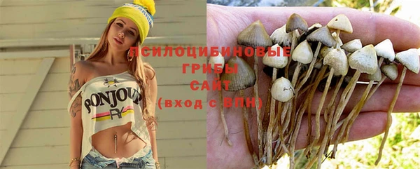 гашиш Богородск